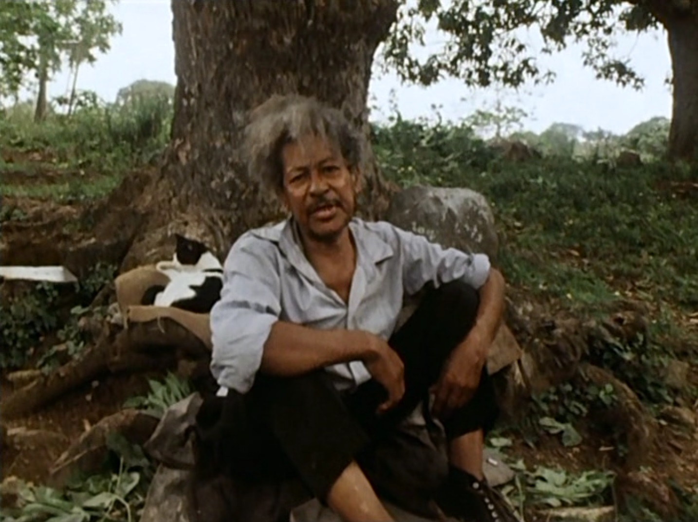 11856 - Werner Herzog's La Soufrière