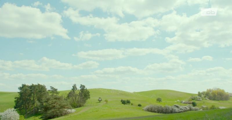 12675 - Landstück (jederzeit online) Landstück (jederzeit online)