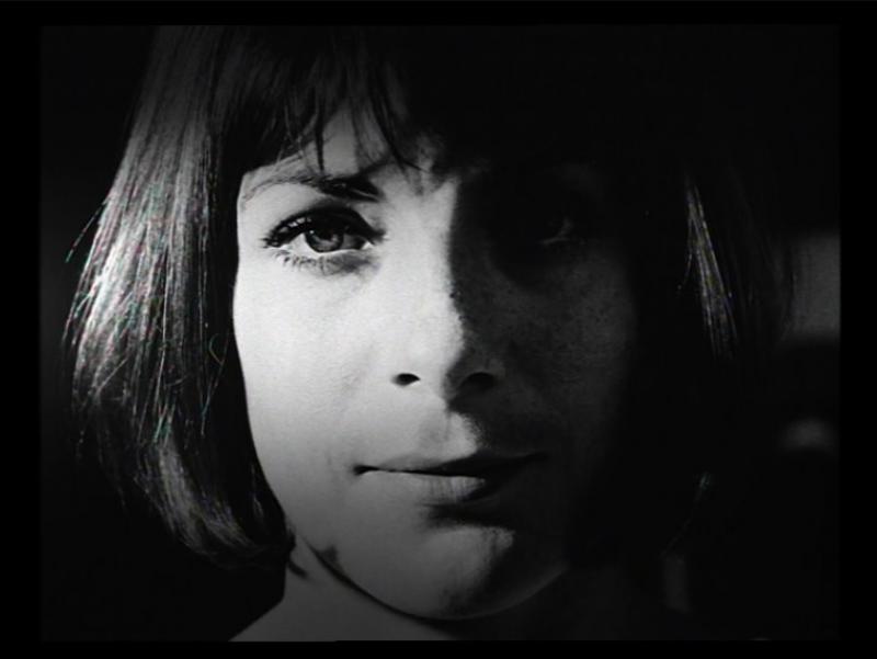 12694 - Die Patriotin (jederzeit online) Die Patriotin (jederzeit online)