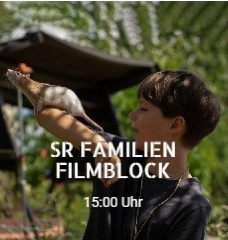 12727 - SR Familienfilmblock Kinderkurzfilme für die Jüngsten (im Kino) SR Familienfilmblock Kinderkurzfilme für die Jüngsten (im Kino)