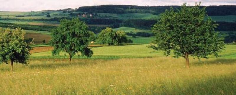 Schauplaetze aus der Biosphaere Bliesgau