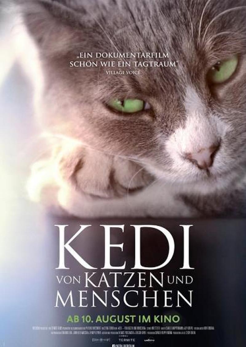 Kedi - von Katzen und Menschen