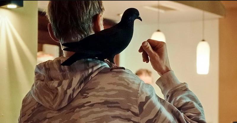 Soldaten des Lichts (nur im Kino)