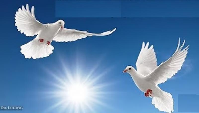 Militärische Katastrophe für Russland und die Ukraine (jederzeit online)