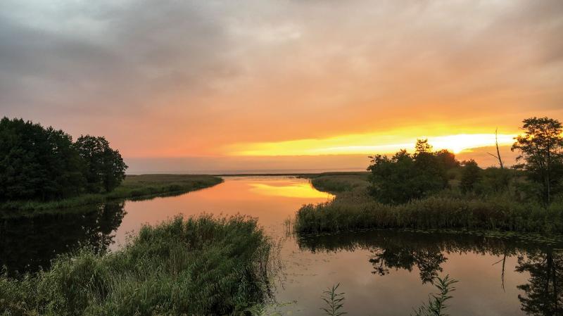 Chronos – Fluss der Zeit (nur im Kino)